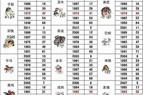 屬狗五行顏色|生肖狗性格優缺點、運勢深度分析、年份、配對指南